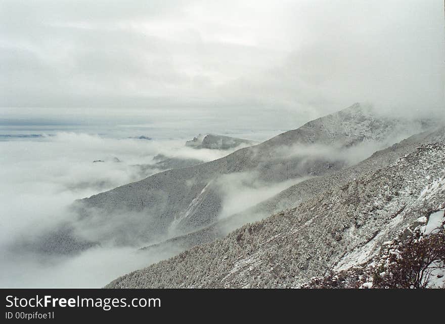 The ridge like blade