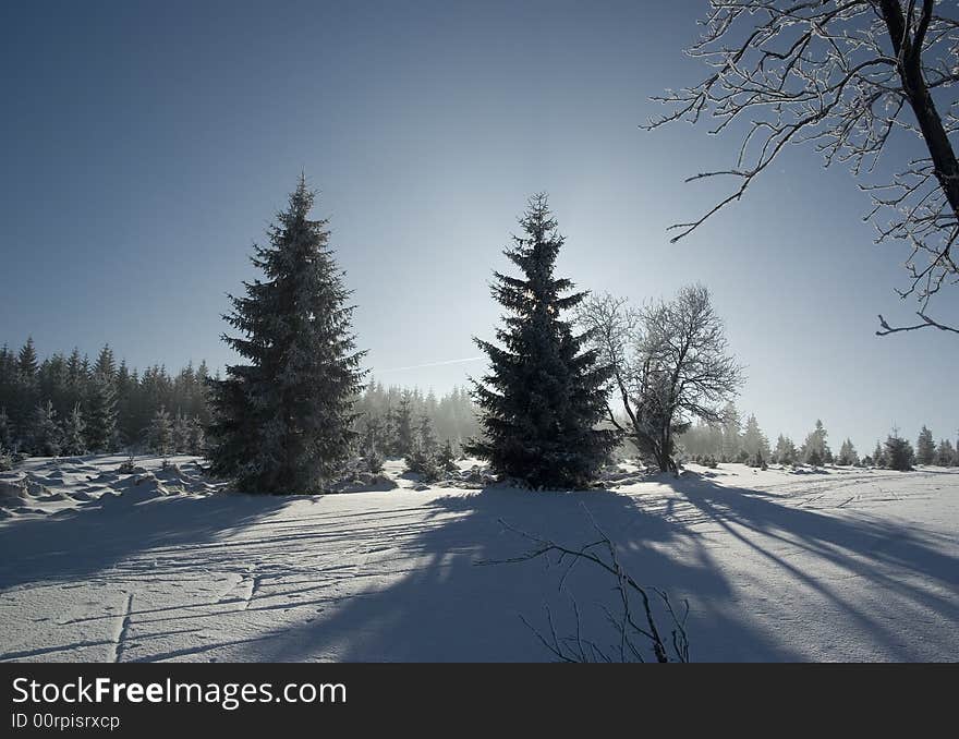 Photo of winter scenery with forest.