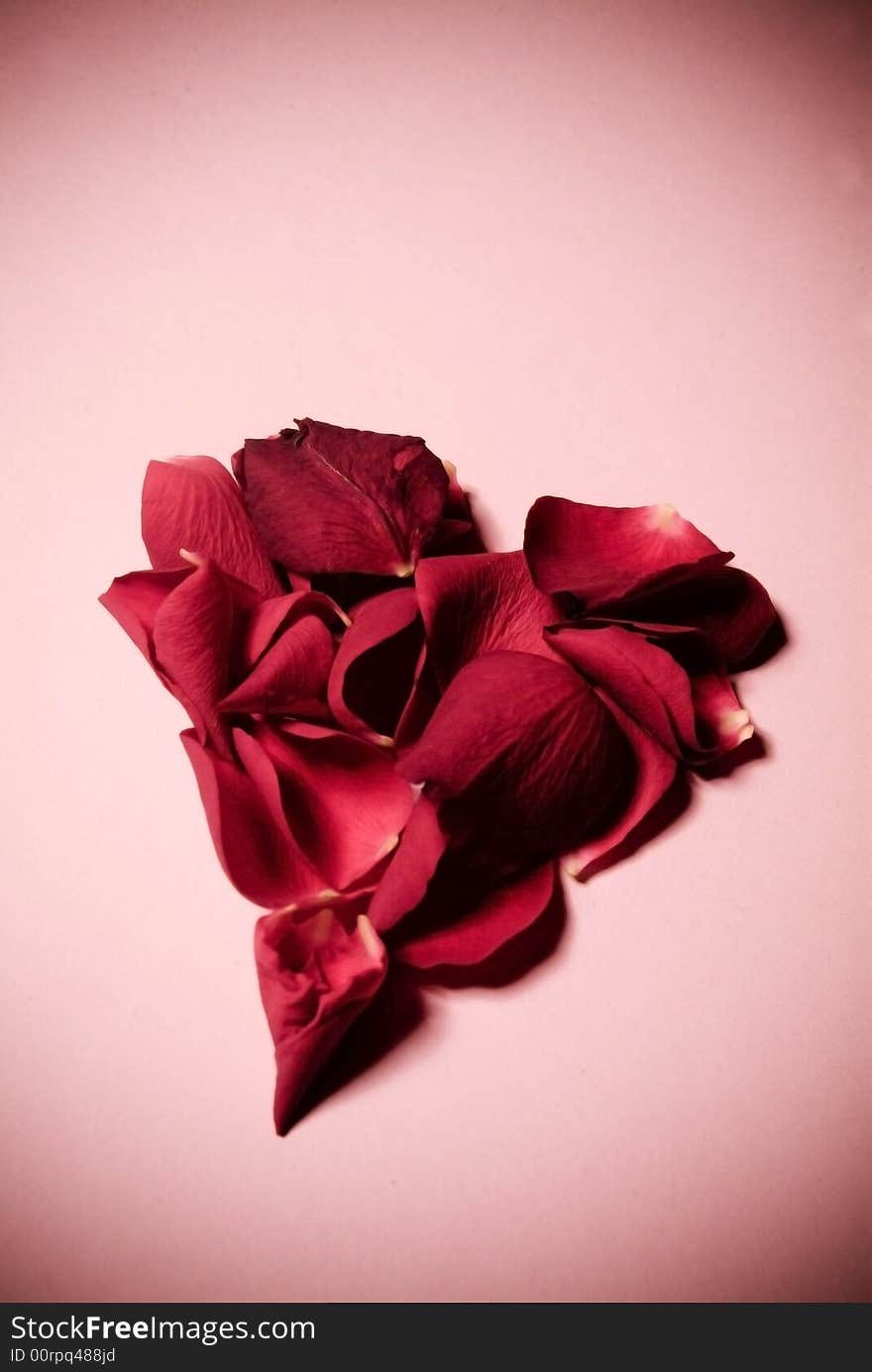 Rose petals in the shape of a heart on pink background. Rose petals in the shape of a heart on pink background