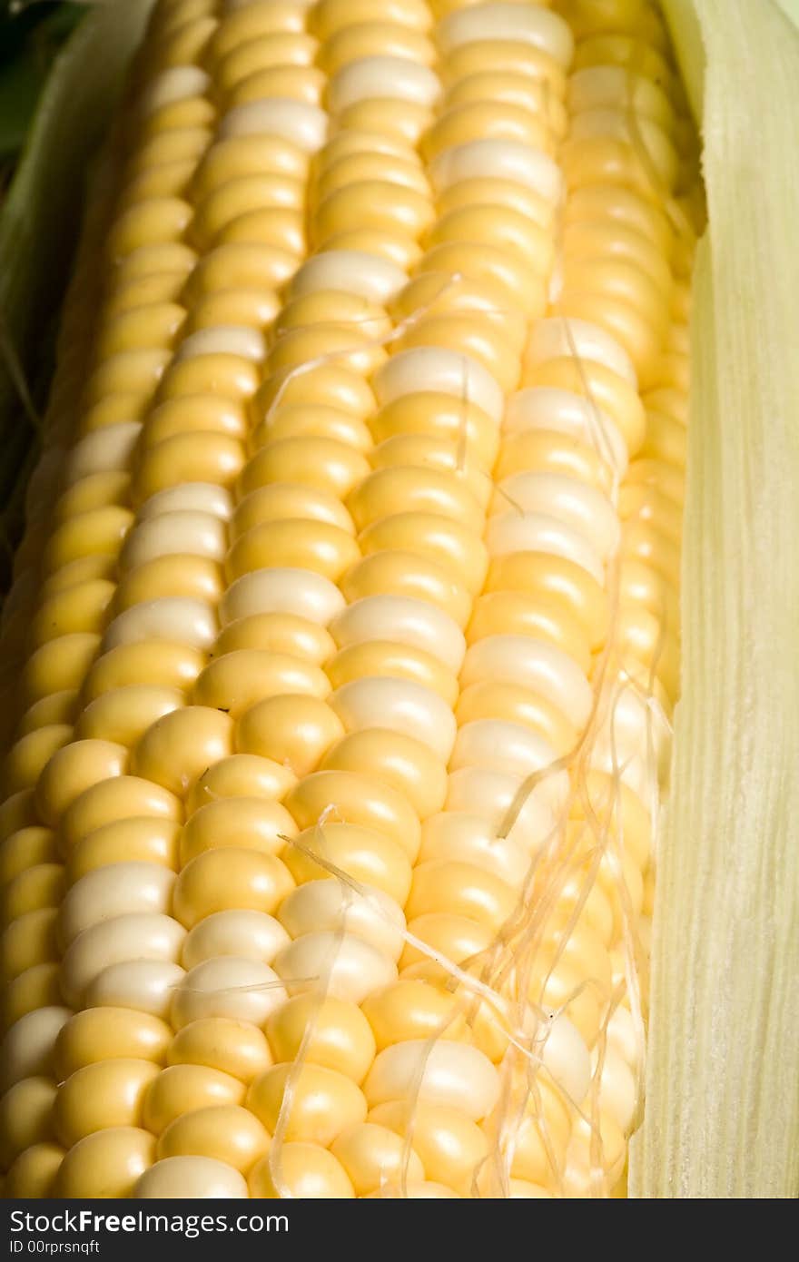 Macro shot of fresh ripe sweet corn. Macro shot of fresh ripe sweet corn