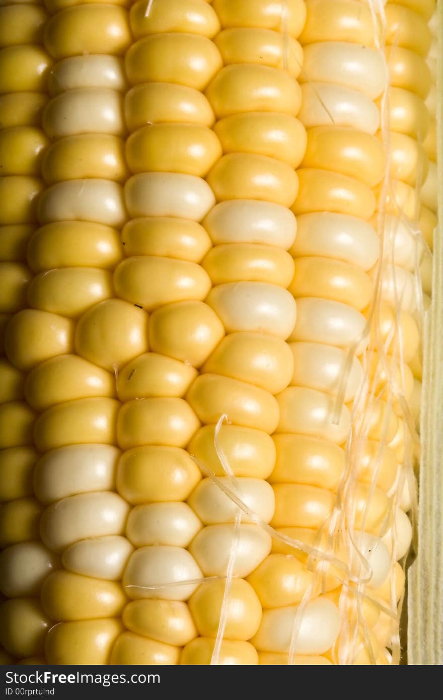 Macro shot of fresh ripe sweet corn. Macro shot of fresh ripe sweet corn