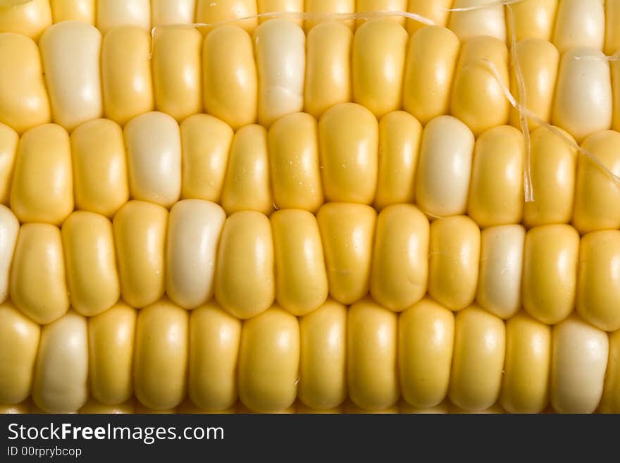 Macro shot of fresh ripe sweet corn. Macro shot of fresh ripe sweet corn