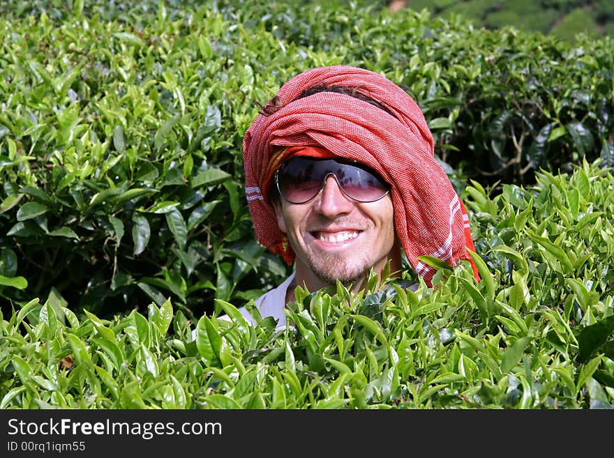 Caucasian man at tea plantation, kerala, india