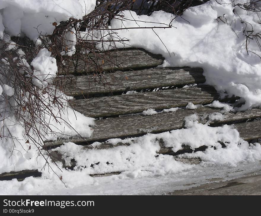 Snowy Bench