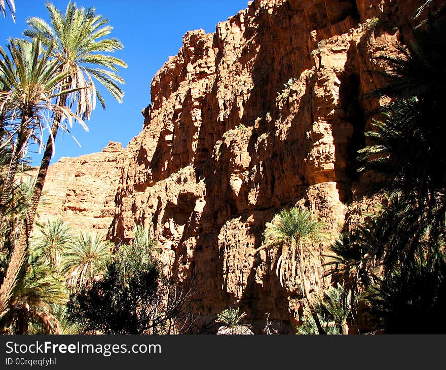 Palm Trees Of An Oasis In The Mountain In Morocco