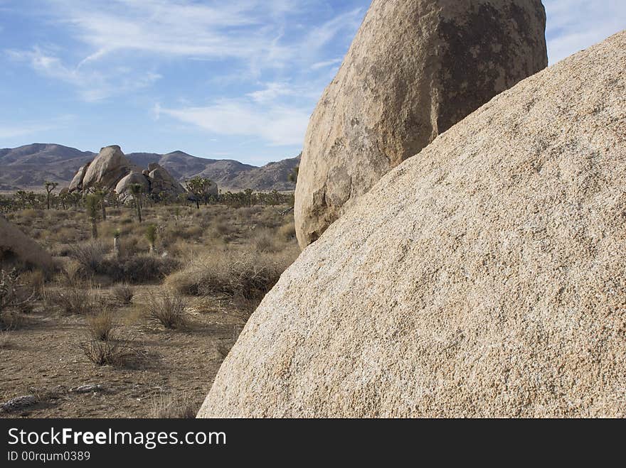 Egg Shaped Rocks in Joshua Tree Park