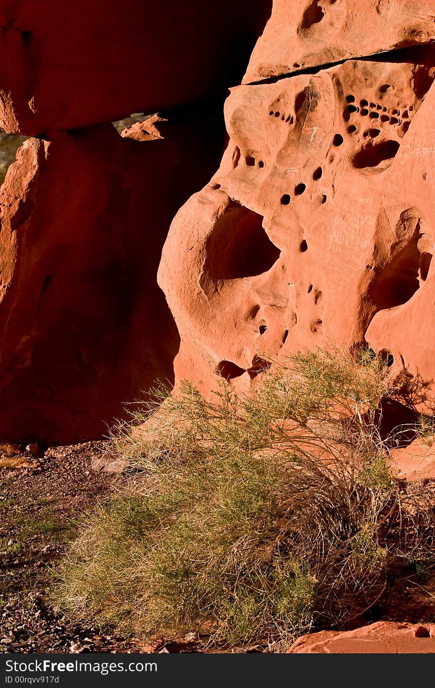 Red rock and tumbleweed, Lake Mead Recreational Area,Nevada