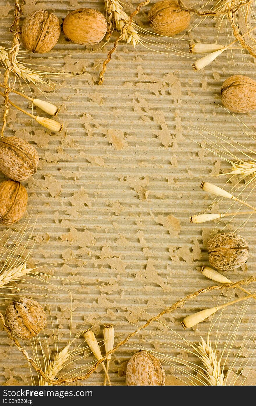 Grunge autumn frame with nuts and old cardboard