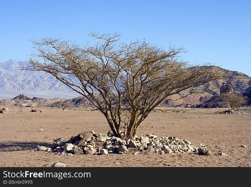 Timna Park