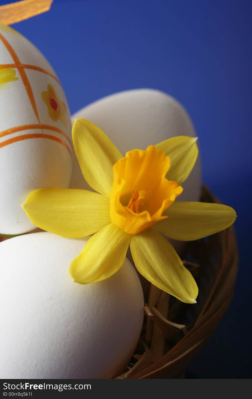 Easter eggs with yellow flower in basket on blue background.