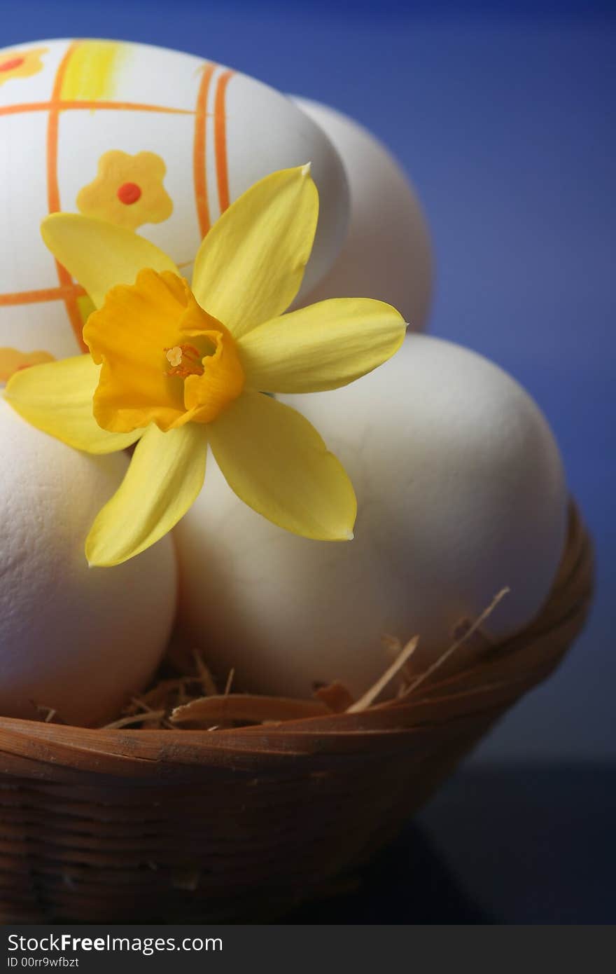 Easter eggs with yellow flower in basket on blue background.