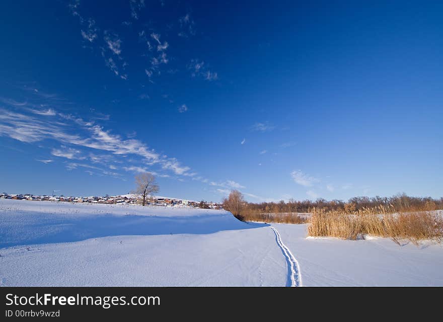 Sunny winter day