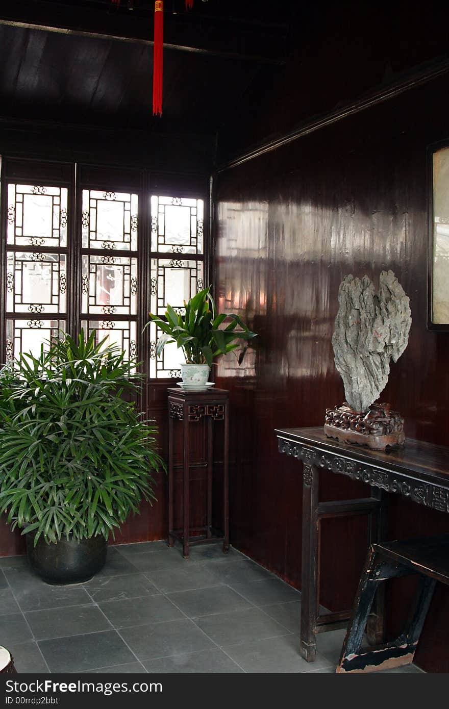 A corner  of a room with  green plants standing on the floor. A corner  of a room with  green plants standing on the floor.