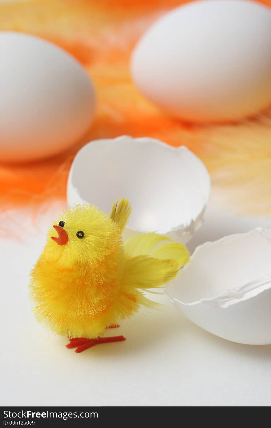 Hatched easter chick