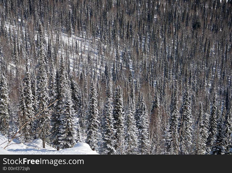 Alpine slope covered with snow