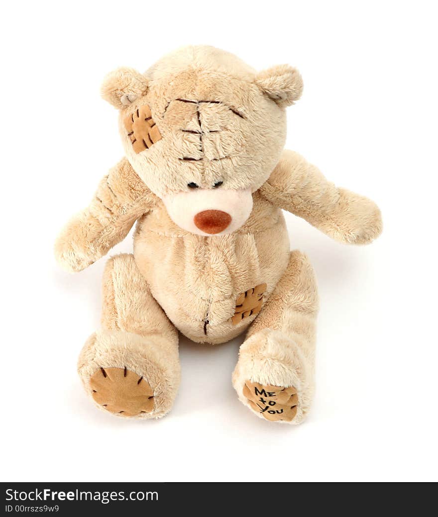 Teddy bear on white background