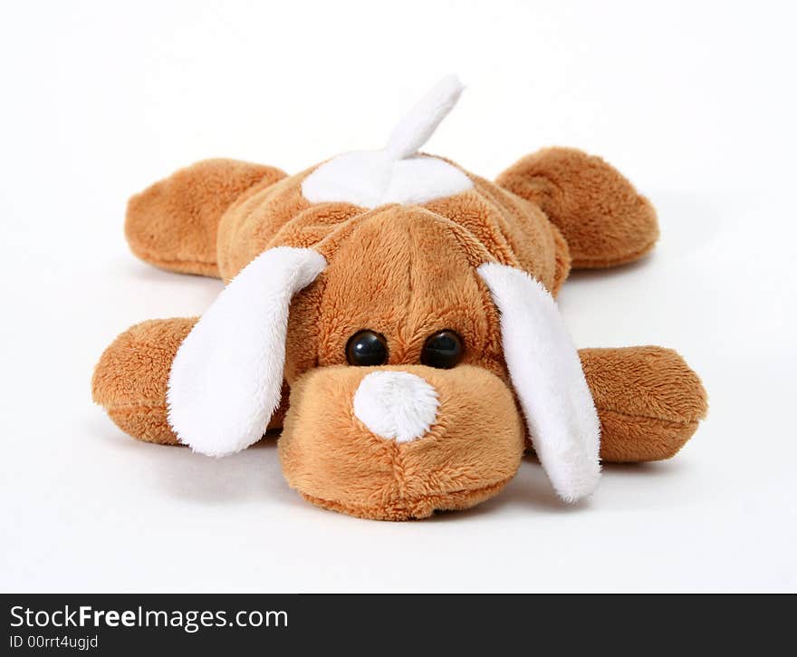 Soft toy dog