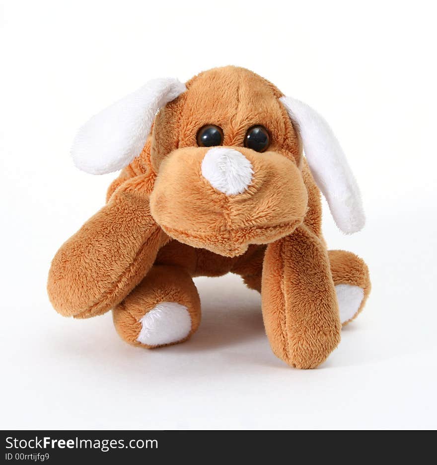 Soft Toy Dog