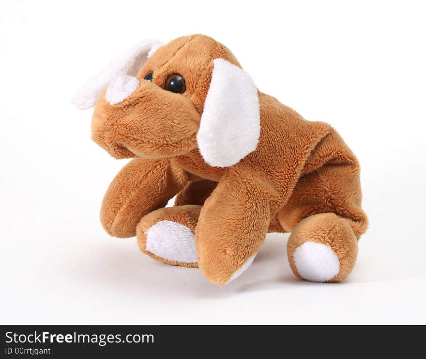 Soft toy dog