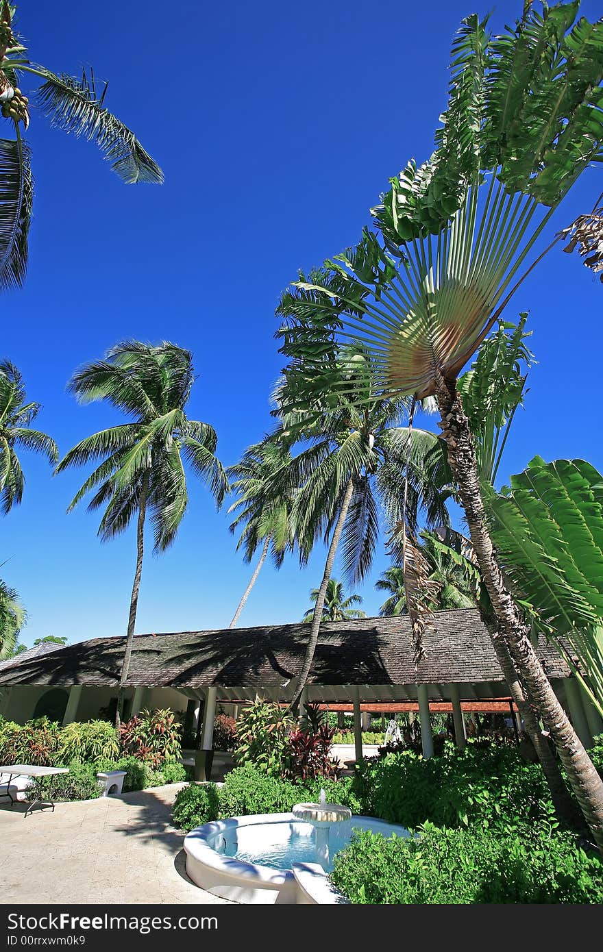 A hotel reception with palm trees in the courtyard and a blue sky in Barbados. A hotel reception with palm trees in the courtyard and a blue sky in Barbados