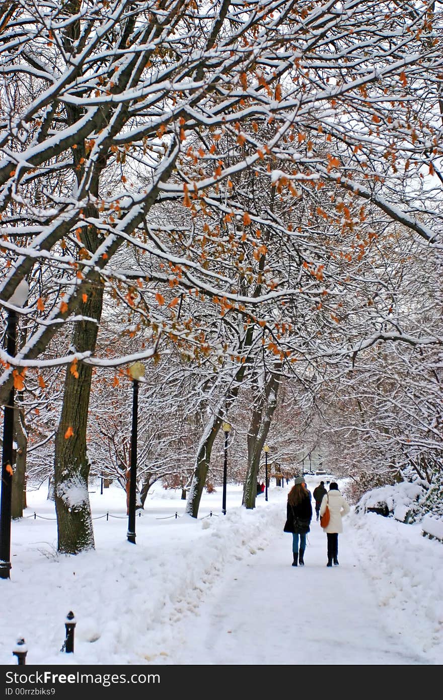 Stock image of a snowing winter at Boston, Massachusetts, USA. Stock image of a snowing winter at Boston, Massachusetts, USA