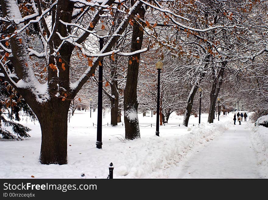 Stock image of a snowing winter at Boston, Massachusetts, USA. Stock image of a snowing winter at Boston, Massachusetts, USA