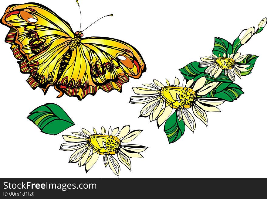 Flower, camomile and flying butterfly, vector. Flower, camomile and flying butterfly, vector