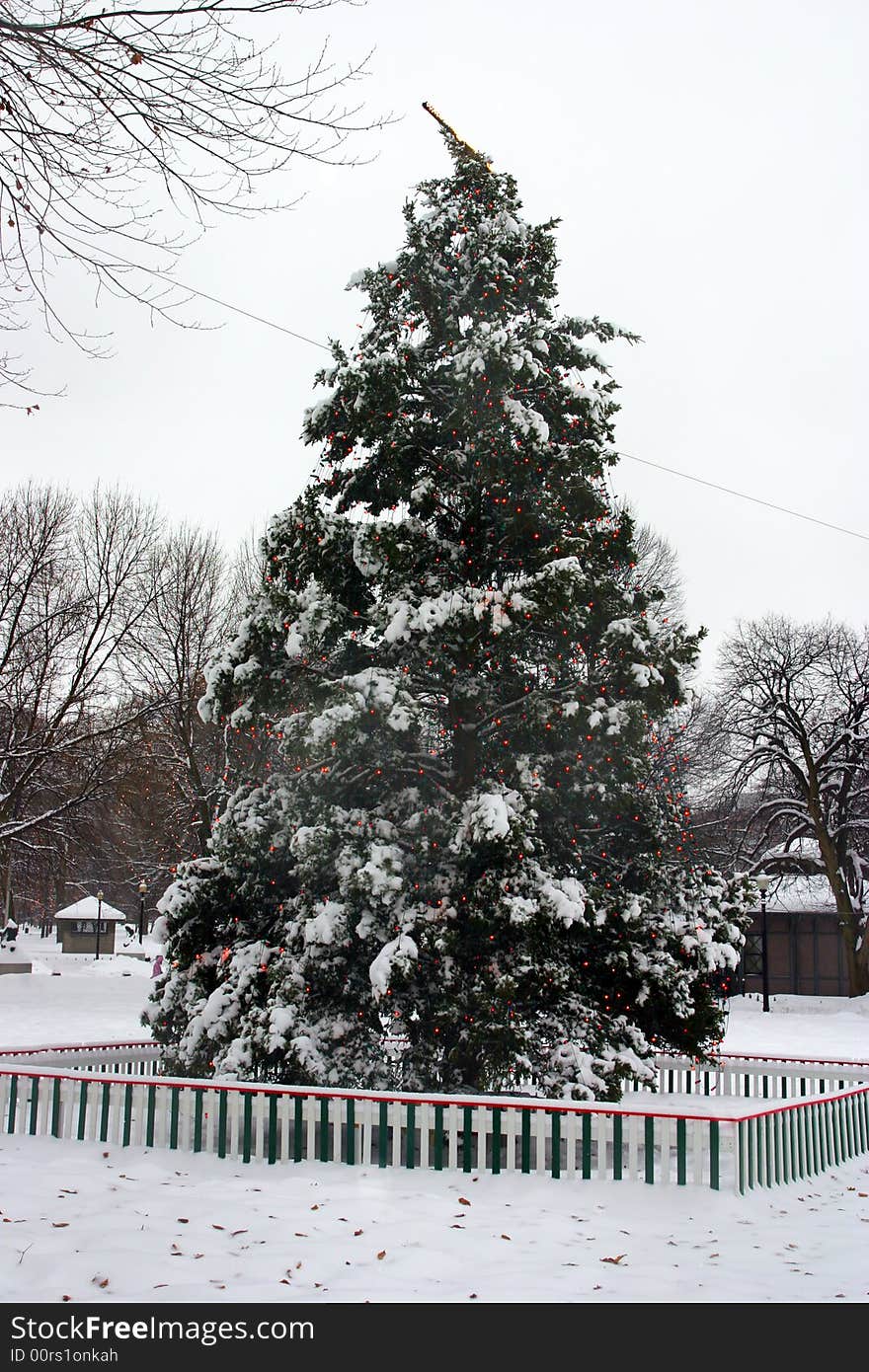 Stock image of a snowing winter at Boston, Massachusetts, USA. Stock image of a snowing winter at Boston, Massachusetts, USA