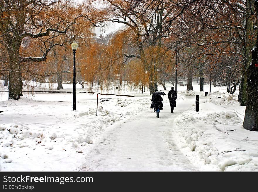 Stock image of a snowing winter at Boston, Massachusetts, USA. Stock image of a snowing winter at Boston, Massachusetts, USA