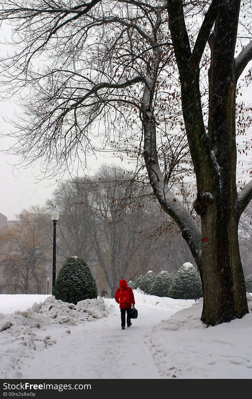 Stock image of a snowing winter at Boston, Massachusetts, USA. Stock image of a snowing winter at Boston, Massachusetts, USA