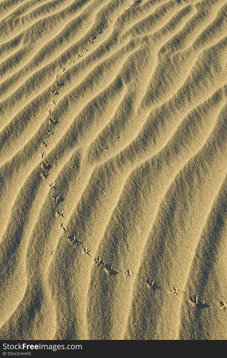 Sand Dunes