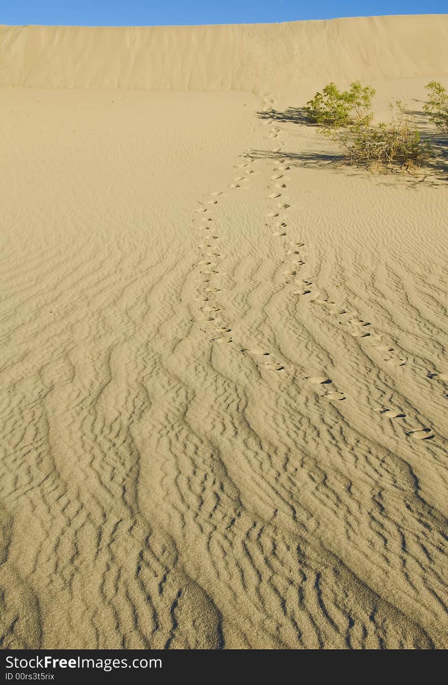 Foot Prints On Sand Dunes