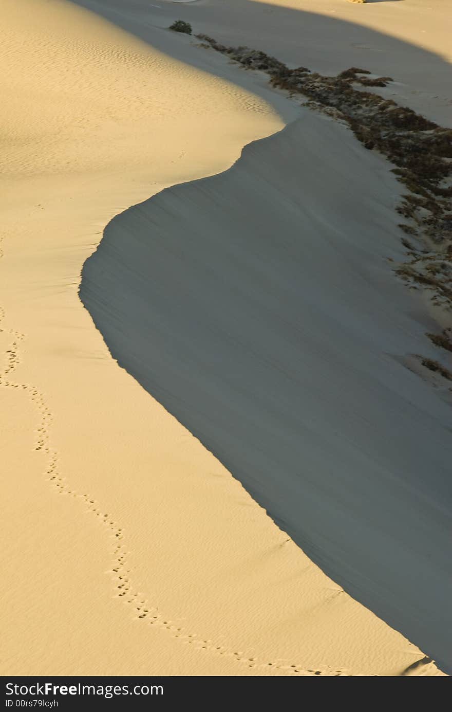 Sand Dunes near Stovepipe Wells in Death Valley National Park , California. Sand Dunes near Stovepipe Wells in Death Valley National Park , California