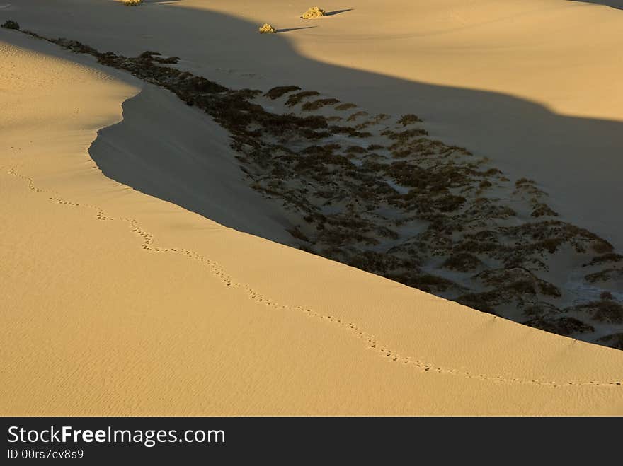 Sand dunes near Stovepipe Wells, Death Valley