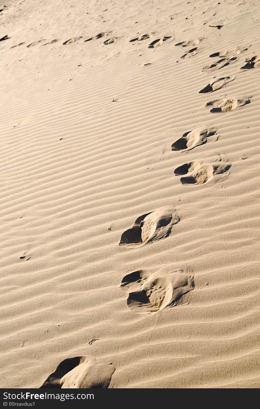 Footprints in the sand. Perfect to use as a travel or nature background. Footprints in the sand. Perfect to use as a travel or nature background.