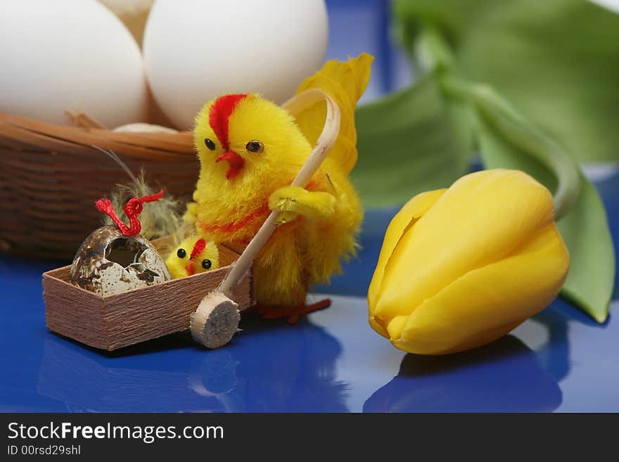 Easter motive.Hen and her chick with yellow tulip,white eggs on blue background.