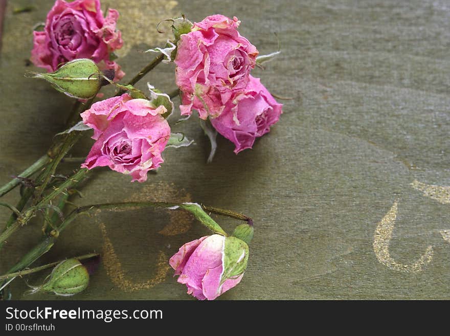 Dried rose on the green wood table