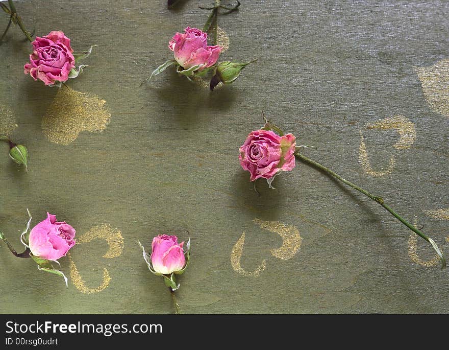 Dried rose on the green wood table