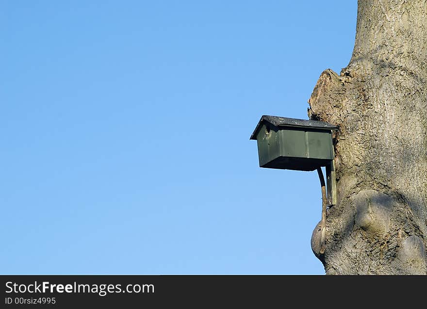 Bird nesting box high in a tree against a clear blue sky