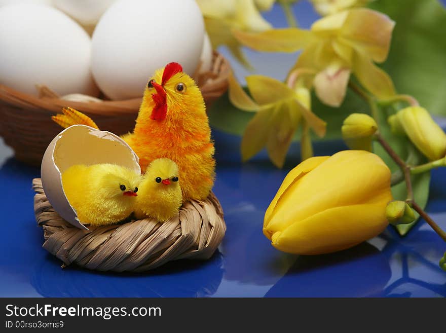 Easter motive.Hen and her chicks on easter background..