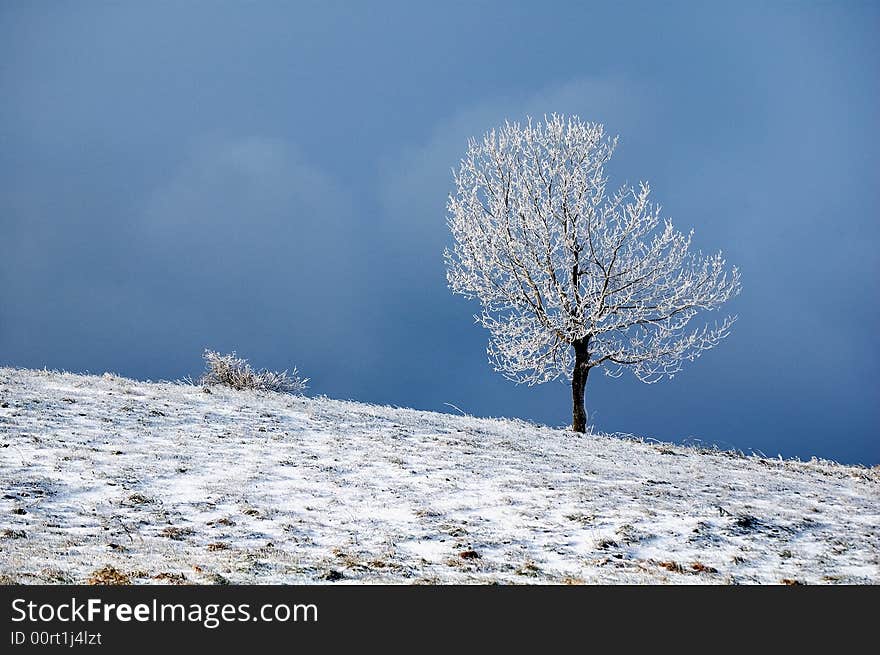 Mountain in Serbia. Winter morning with snow. Mountain in Serbia. Winter morning with snow