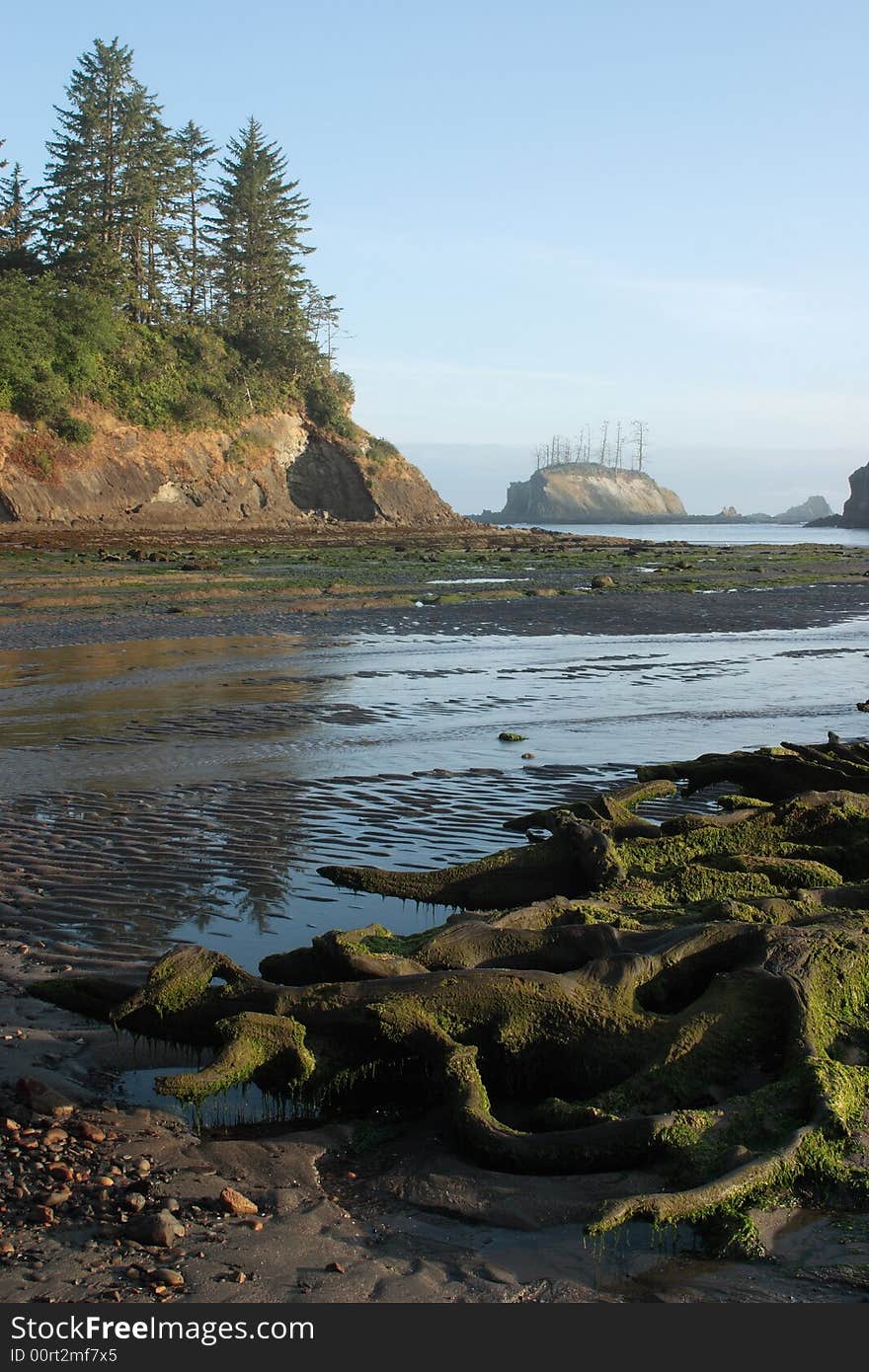 Sunset Bay at low tide - Sunset Bay State Park