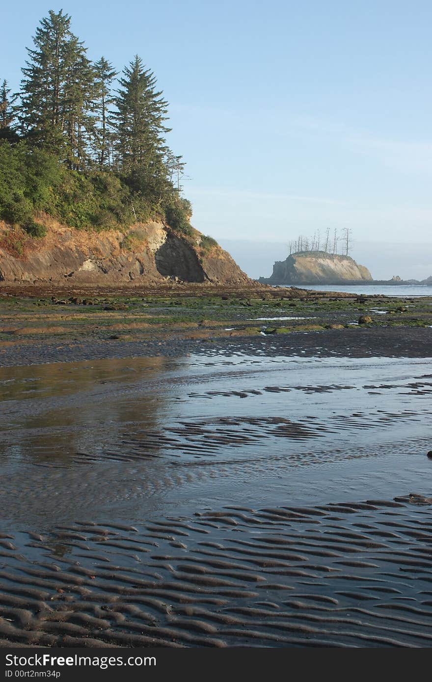 Sunset Bay at low tide - Sunset Bay State Park