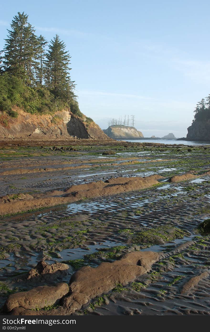 Sunset Bay at low tide - Sunset Bay State Park