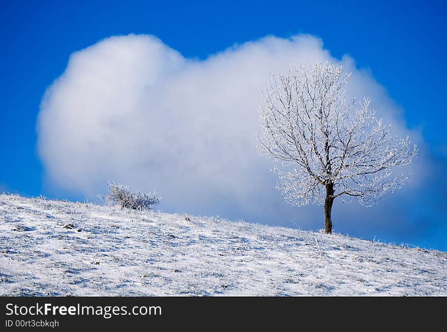 Mountain Rajac in Serbia. Winter morning. Mountain Rajac in Serbia. Winter morning