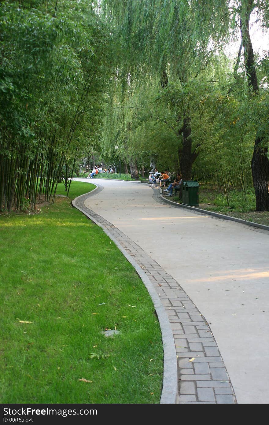 Bamboo Avenue Green park China