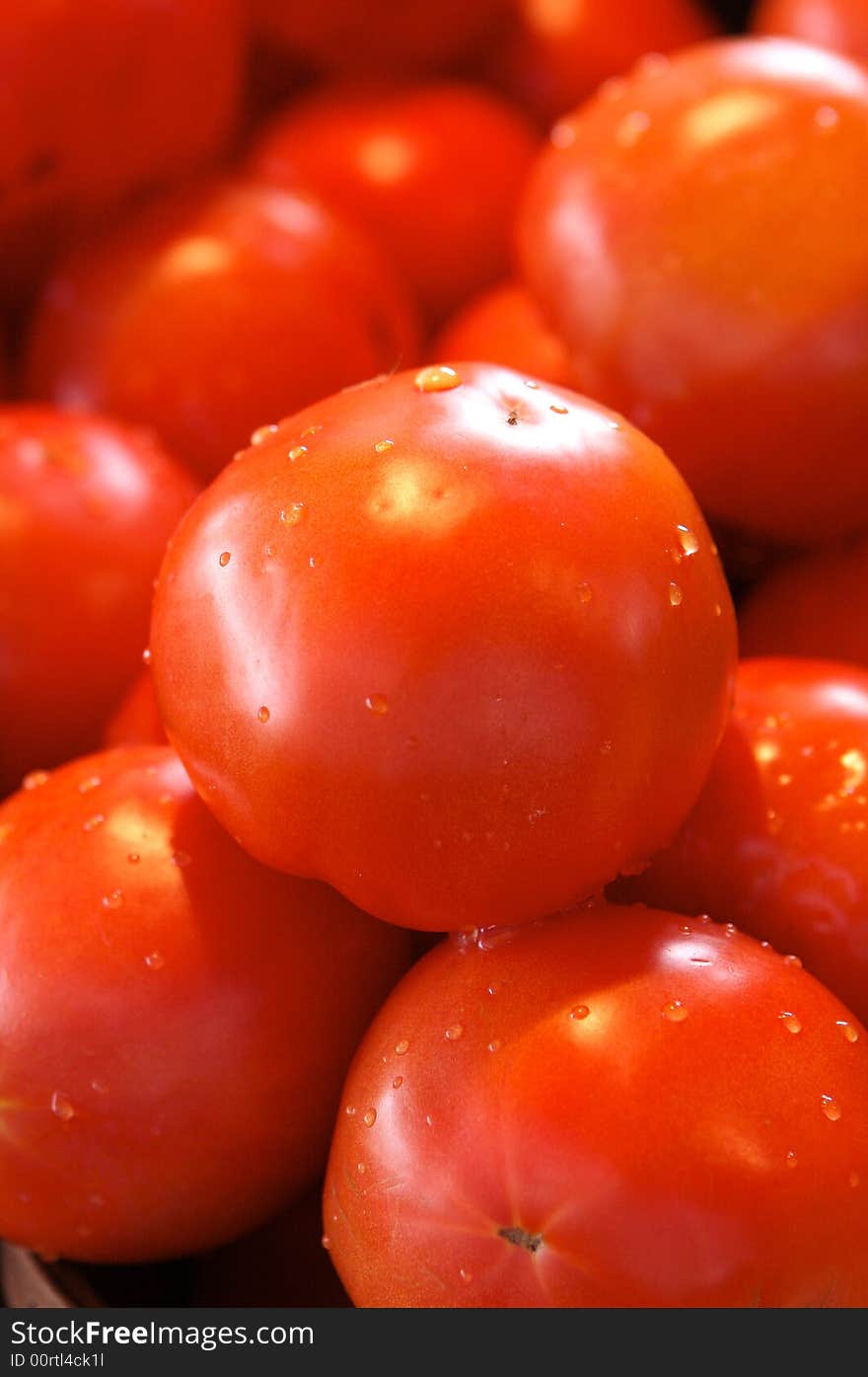 Beef steak tomatoes for sale