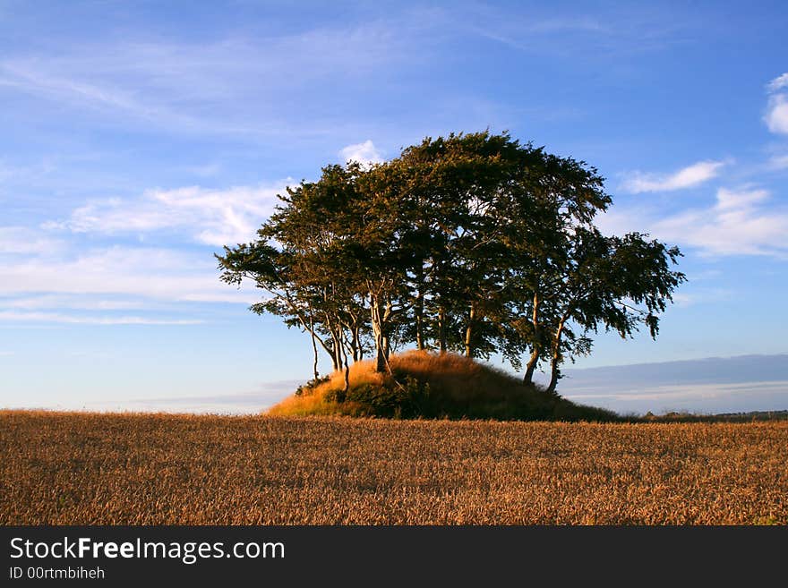 The picture is Taken in Denmark and it's a old grave from the stone age. The picture is Taken in Denmark and it's a old grave from the stone age