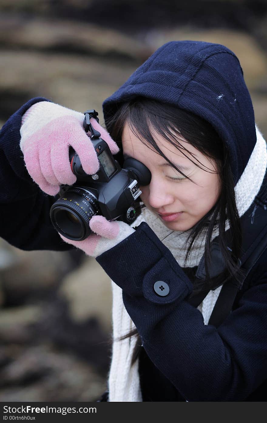 A woman photographer focusing on her subject. A woman photographer focusing on her subject