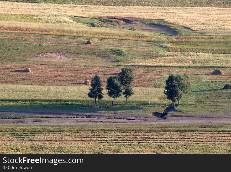 The beautiful grassland in North China